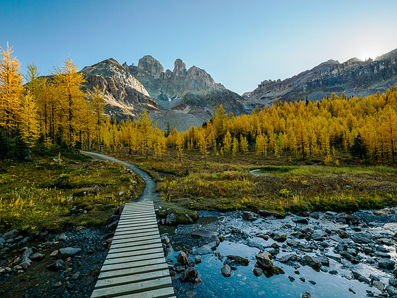 Incredible larch scenery on the Wonder Pass Trail.