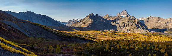 Views over the Cautley meadows to Mount Assiniboine and Wonder Pass.