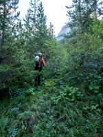 We enjoyed a very brief "trail" in the scrub just climber's left of the creek at the bottom of the old clear-cut.
