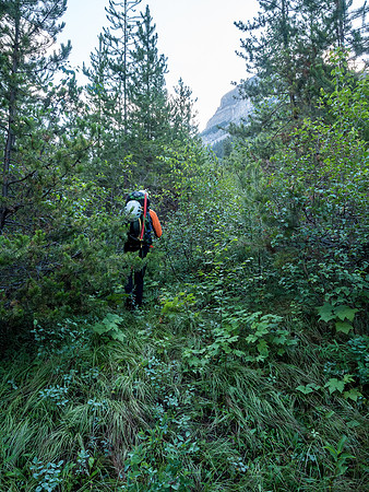 We enjoyed a very brief "trail" in the scrub just climber's left of the creek at the bottom of the old clear-cut.