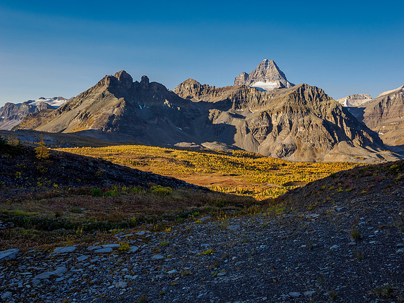 Views over the Cautley meadows to Mount Assiniboine.