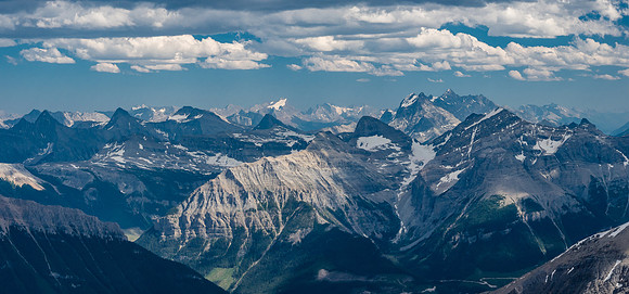 Joffre in the distance left of center with the Royal Group and King George at right.