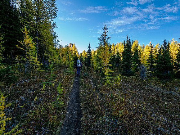 Hiking from Howard Douglas Lake to Citadel Pass.