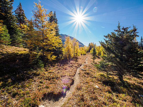 Hiking through Citadel Pass.
