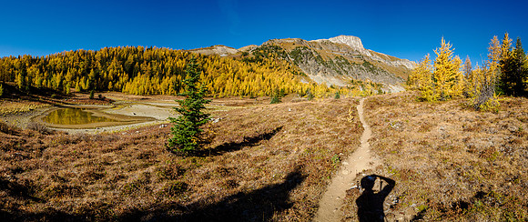 Hiking through Citadel Pass.