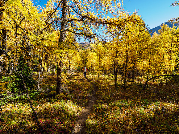 Hiking through Citadel Pass.