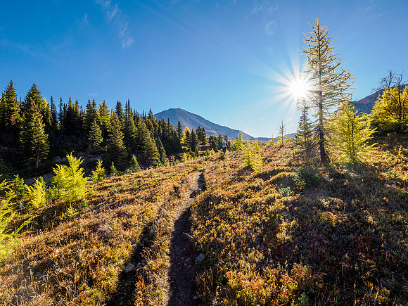 Hiking from Howard Douglas Lake to Citadel Pass.