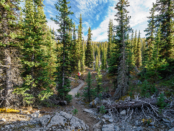 Hiking the Valley of the Rocks Trail to Og Lake.