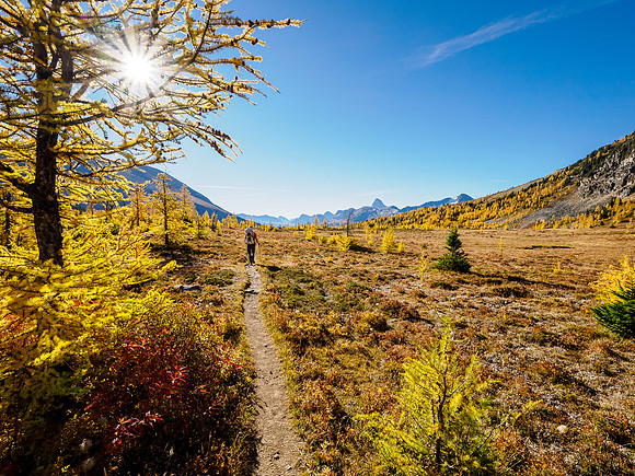 Hiking through Citadel Pass.