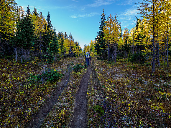 Hiking from Howard Douglas Lake to Citadel Pass.