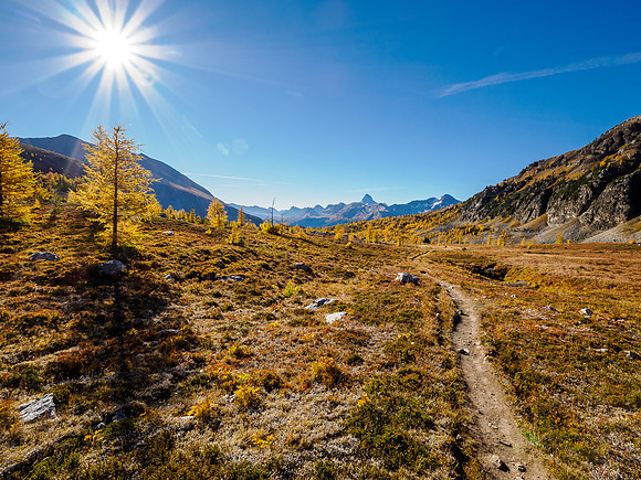 Hiking through Citadel Pass.