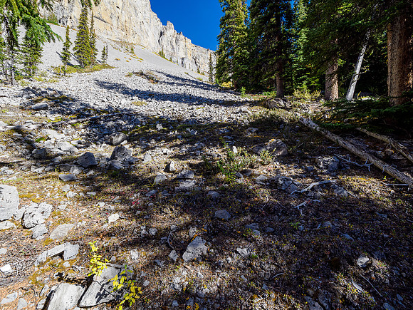 Hiking around the south cliffs of Golden Mountain towards Nasswald Peak.