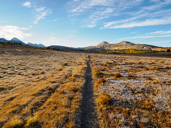 Hiking the Sunshine Meadows to Howard Douglas Lake.