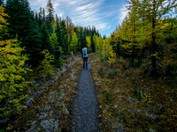 Hiking the Sunshine Meadows to Howard Douglas Lake.
