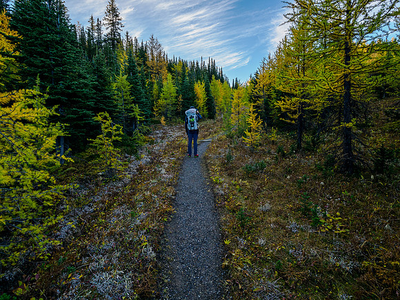 Hiking the Sunshine Meadows to Howard Douglas Lake.