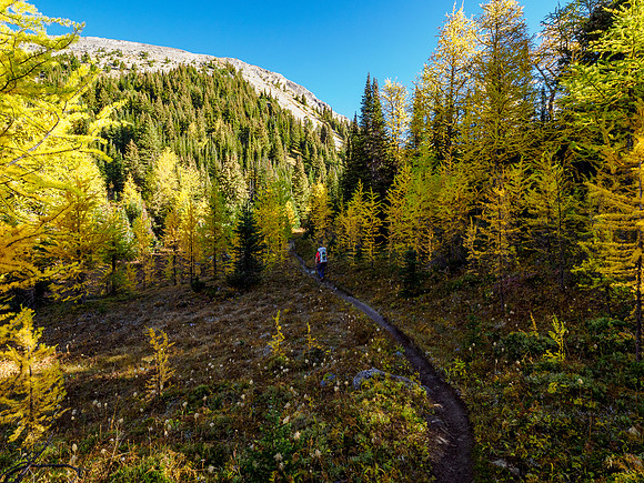 Hiking down from Citadel Pass to the Porcupine junction.