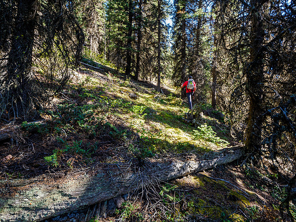 Hiking around the south slopes of Golden Mountain towards Nasswald Peak.