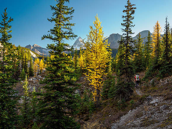 Hiking the Valley of the Rocks Trail to Og Lake.