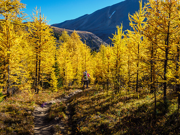 Hiking through Citadel Pass.