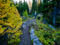 Hiking the Sunshine Meadows to Howard Douglas Lake.