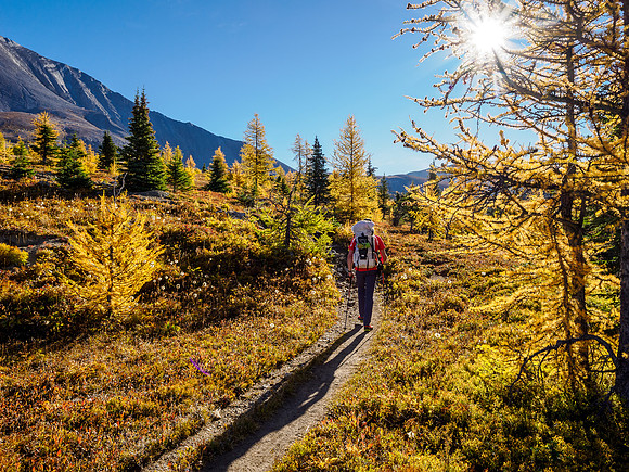 Hiking from Howard Douglas Lake to Citadel Pass.