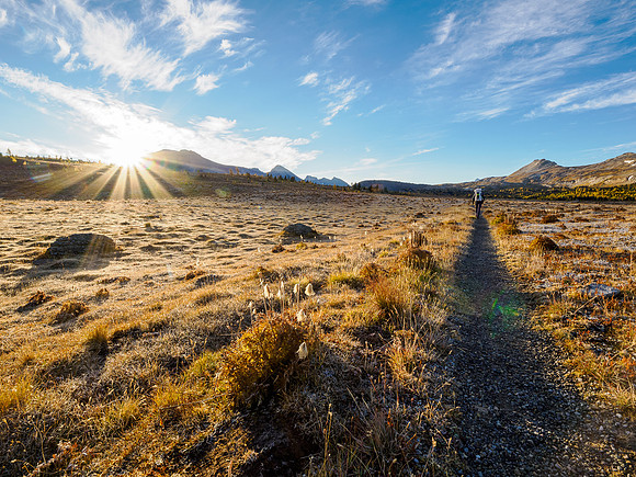 Hiking the Sunshine Meadows to Howard Douglas Lake.