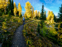 Hiking the Sunshine Meadows to Howard Douglas Lake.