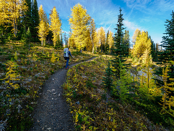 Hiking the Sunshine Meadows to Howard Douglas Lake.