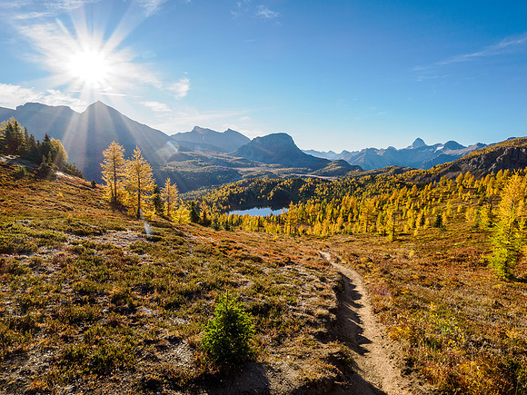 Hiking the Sunshine Meadows to Howard Douglas Lake.