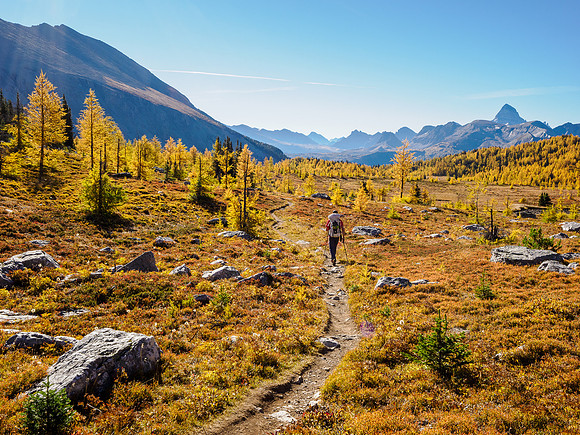 Hiking through Citadel Pass.