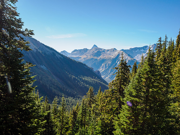 Hiking down from Citadel Pass to the Porcupine junction.
