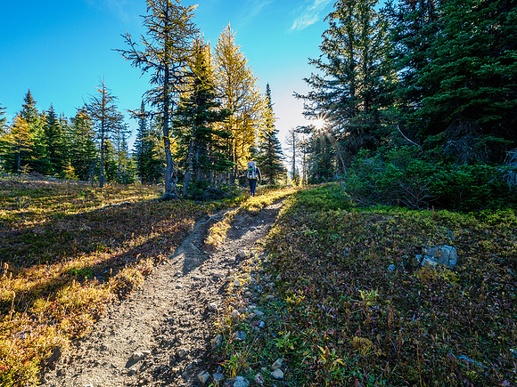 Hiking from Howard Douglas Lake to Citadel Pass.