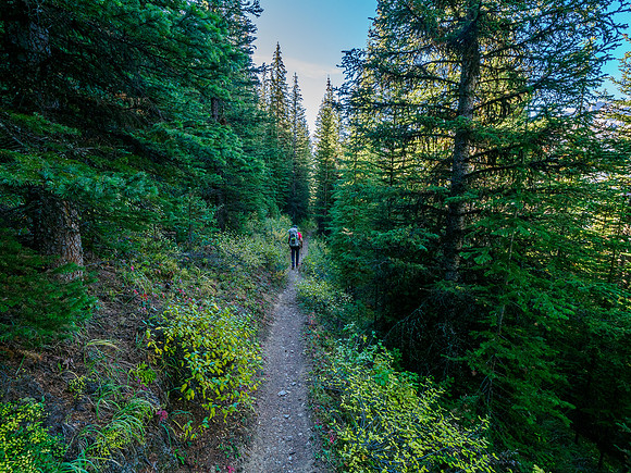 Hiking down from Citadel Pass to the Porcupine junction.