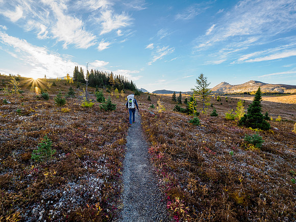 Hiking the Sunshine Meadows to Howard Douglas Lake.