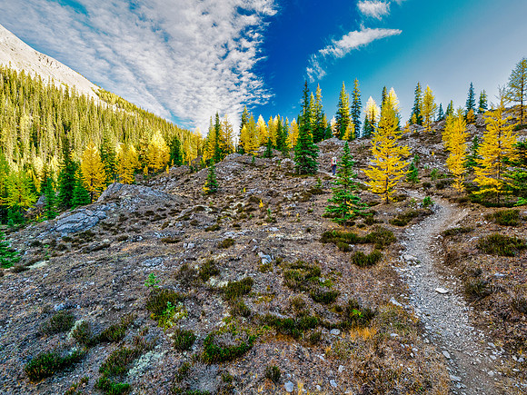 Hiking the Valley of the Rocks Trail to Og Lake.