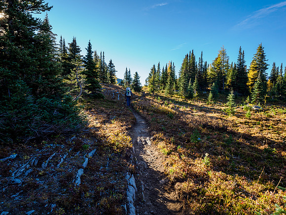 Hiking from Howard Douglas Lake to Citadel Pass.