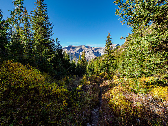 Hiking down from Citadel Pass to the Porcupine junction.