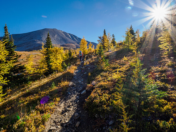 Hiking from Howard Douglas Lake to Citadel Pass.