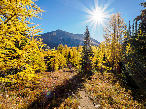 Hiking through Citadel Pass.