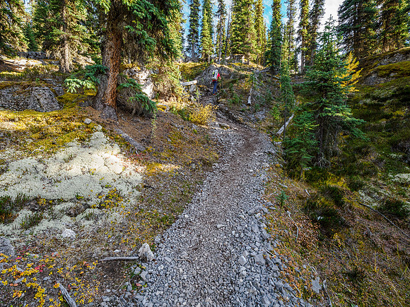 Hiking the Valley of the Rocks Trail to Og Lake.