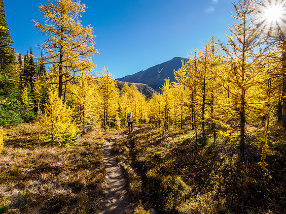 Hiking through Citadel Pass.