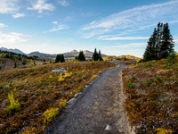 Hiking up to Sunshine Meadows from the village.