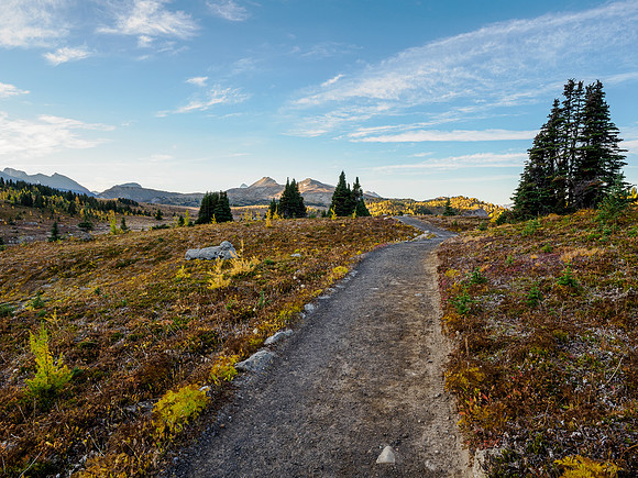 Hiking up to Sunshine Meadows from the village.