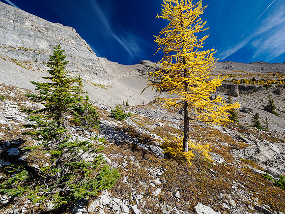 Hiking around the south cliffs of Golden Mountain towards a south bowl under Nasswald Peak.