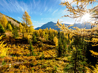 Hiking the Sunshine Meadows to Howard Douglas Lake.