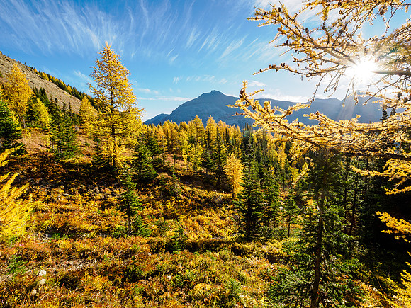 Hiking the Sunshine Meadows to Howard Douglas Lake.