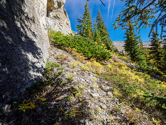 Hiking around the south cliffs of Golden Mountain towards Nasswald Peak.