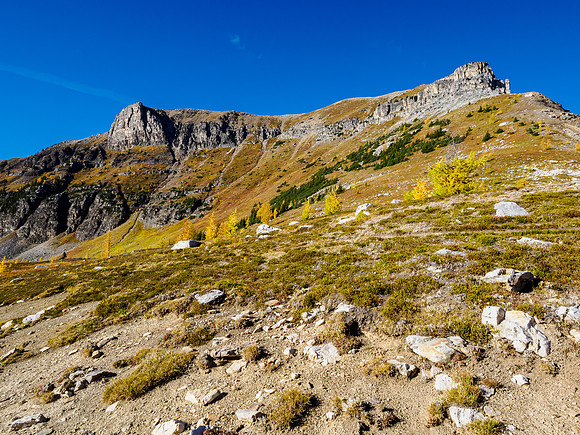 Hiking through Citadel Pass.