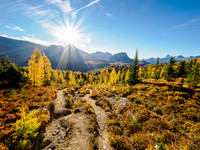 Hiking the Sunshine Meadows to Howard Douglas Lake.