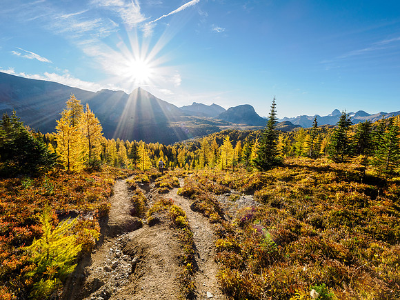 Hiking the Sunshine Meadows to Howard Douglas Lake.
